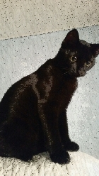 Clique pour agrandir ...